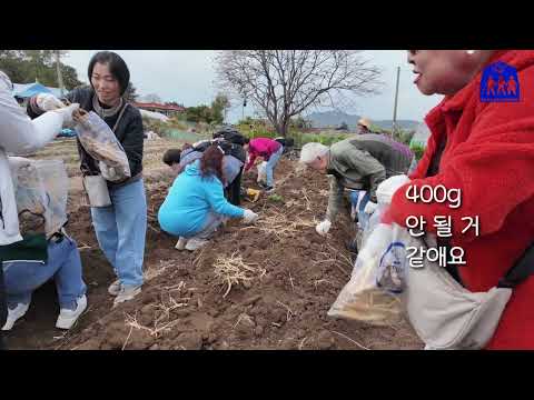 자기야 64탄 강화 인삼을 찾아서 우리는 심마..